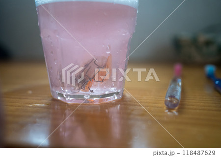 歯列矯正装置のお手入れ 118487629