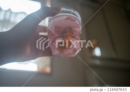 矯正装置の洗浄 118487633