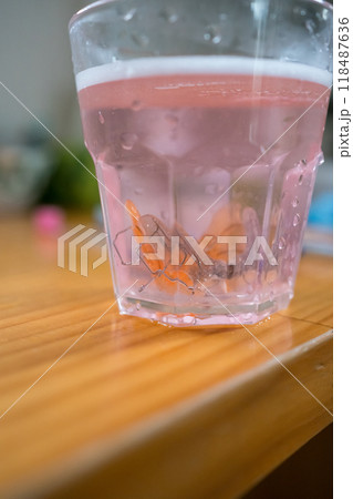 拡大床の洗浄 拡大床の洗浄 118487636