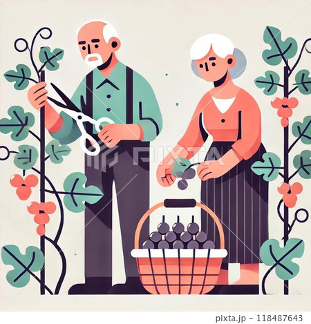 ブドウ狩りの老夫婦 118487643