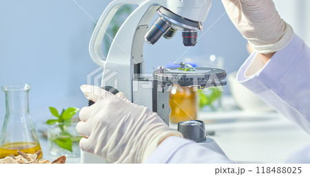 Template photo showcasing a fresh herb branch placed under a microscope and observed by a researcher, surrounded by transparent glass laboratory equipment containing other herbs. 118488025