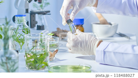 A small jar containing a branch of herbs inside is held up for observation by a scientist, surrounded by branches of herbs soaked in a solution contained in glass containers. A small jar containing a branch of herbs inside is held up for observation by a scientist, surrounded by branches of herbs soaked in a solution contained in glass containers. 118488027