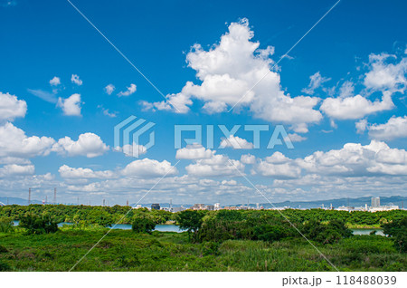 淀川河川敷風景　守口市 118488039