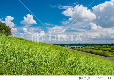 淀川右岸堤防上からの風景 摂津市 淀川右岸堤防上からの風景 摂津市 118488044