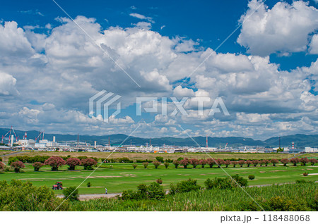 淀川新橋から眺める淀川右岸のゴルフ場　高槻市 118488068