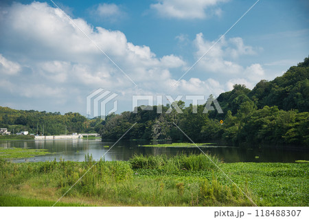 東池　【和歌山県和歌山市】 118488307