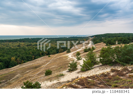 View of Cape from observation deck on Olenya Buda dunes. Curonian Spit National Park. Russia View of Cape from observation deck on Olenya Buda dunes. Curonian Spit National Park. Russia 118488341