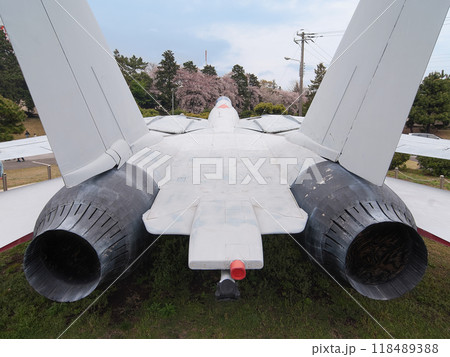 米海軍F-14Aトムキャットのゲートガード 米海軍F-14Aトムキャットのゲートガード 118489388