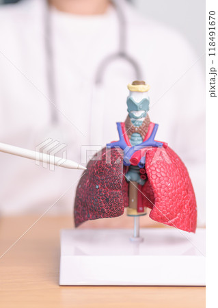 Doctor with Smoker and normal Lung anatomy for Disease. Lung Cancer, Asthma, Chronic Obstructive Pulmonary or COPD, Bronchitis, Emphysema, Cystic Fibrosis, Bronchiectasis, Pneumonia and world Lung day Doctor with Smoker and normal Lung anatomy for Disease. Lung Cancer, Asthma, Chronic Obstructive Pulmonary or COPD, Bronchitis, Emphysema, Cystic Fibrosis, Bronchiectasis, Pneumonia and world Lung day 118491670