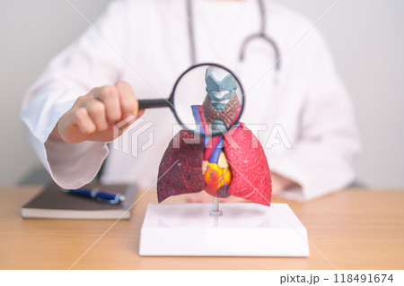 Doctor with Thyroid of Respiratory system anatomy for Diseases. Lung Cancer, Asthma, Chronic Obstructive Pulmonary or COPD, Bronchitis, Emphysema, Cystic Fibrosis, Bronchiectasis and Pneumonia Doctor with Thyroid of Respiratory system anatomy for Diseases. Lung Cancer, Asthma, Chronic Obstructive Pulmonary or COPD, Bronchitis, Emphysema, Cystic Fibrosis, Bronchiectasis and Pneumonia 118491674