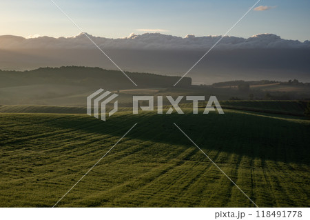 雄大な大地と丘 118491778
