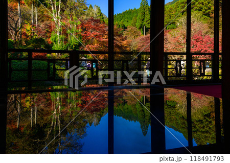 観光スポット　風遊山荘　室内から観える紅葉風景　　環境芸術の森(佐賀県唐津市) 118491793