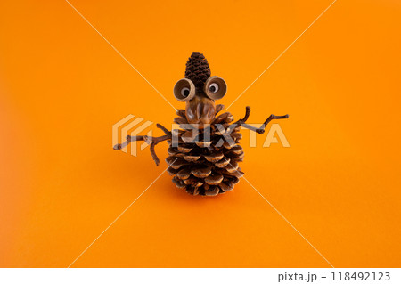 funny character made by child from pine cone and other nature materials from outdoor or forest, autumn craft for kids funny character made by child from pine cone and other nature materials from outdoor or forest, autumn craft for kids 118492123