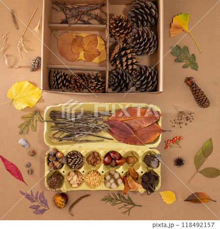 Nature themed composition featuring two cardboard boxes filled with grasses, leaves, seeds, feathers, pine cones, wood slices, twigs, and scattered items like red leaves, acorns, and berries., Nature themed composition featuring two cardboard boxes filled with grasses, leaves, seeds, feathers, pine cones, wood slices, twigs, and scattered items like red leaves, acorns, and berries., 118492157