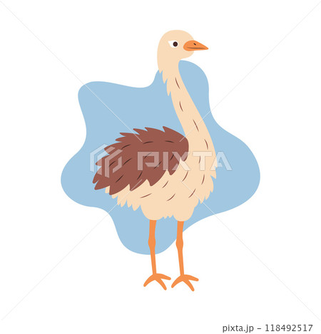 Cute Ostrich Brown African Big Bird Nature Wildlife Animal Character 118492517