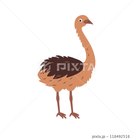 Cute Ostrich Brown African Big Bird Nature Wildlife Animal Character Cute Ostrich Brown African Big Bird Nature Wildlife Animal Character 118492518