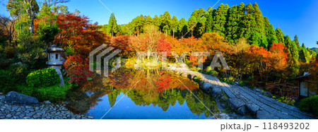 四季を通じて自然の絶景満喫 紅葉リフレクションパノラマ風景 環境芸術の森(佐賀県唐津市) 四季を通じて自然の絶景満喫 紅葉リフレクションパノラマ風景 環境芸術の森(佐賀県唐津市) 118493202