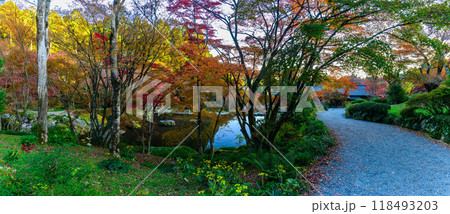 四季を通じて自然の絶景満喫 紅葉遊歩道パノラマ風景 環境芸術の森(佐賀県唐津市) 四季を通じて自然の絶景満喫 紅葉遊歩道パノラマ風景 環境芸術の森(佐賀県唐津市) 118493203