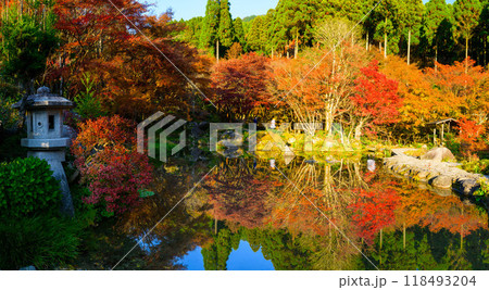四季を通じて自然の絶景満喫　紅葉リフレクションパノラマ風景　環境芸術の森(佐賀県唐津市) 118493204