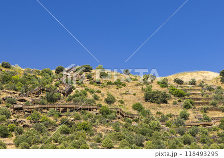 Parque Arqueologico Vale do Coa (Coa valley), UNESCO site, paleolithic rock art paintings, Northern Portugal, Portugal 118493295