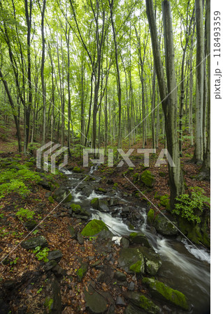 Starohutiansky waterfall near Nova Bana and Zarnovica, Pohronsky Inovec mountains, Slovakia Starohutiansky waterfall near Nova Bana and Zarnovica, Pohronsky Inovec mountains, Slovakia 118493359