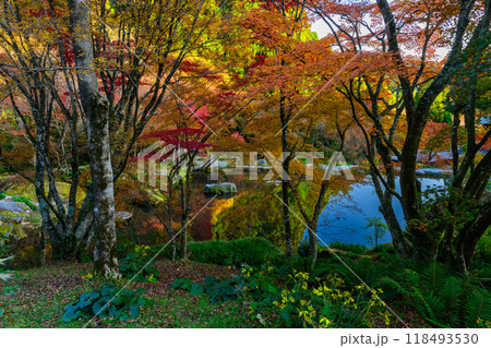 四季を通じて自然の絶景に映える遊歩道から観える紅葉風景　環境芸術の森(佐賀県唐津市) 118493530