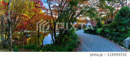 四季を通じて自然の絶景に映える遊歩道から観える紅葉風景　環境芸術の森(佐賀県唐津市) 118493532