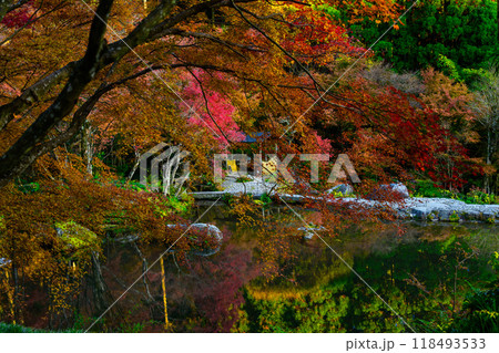 四季を通じて自然の絶景に映える遊歩道から観える紅葉風景 環境芸術の森(佐賀県唐津市) 四季を通じて自然の絶景に映える遊歩道から観える紅葉風景 環境芸術の森(佐賀県唐津市) 118493533