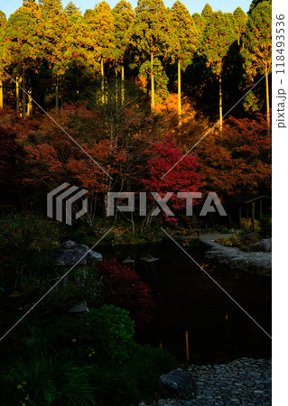四季を通じて自然の絶景に映える遊歩道から観える紅葉風景　環境芸術の森(佐賀県唐津市) 118493536
