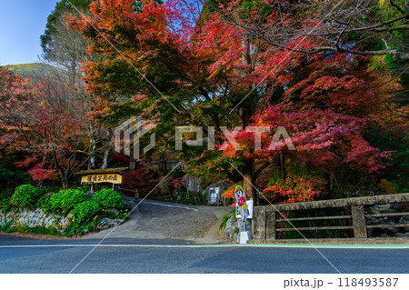 四季を通じて自然の絶景に映える遊歩道紅葉風景 環境芸術の森(佐賀県唐津市) 四季を通じて自然の絶景に映える遊歩道紅葉風景 環境芸術の森(佐賀県唐津市) 118493587