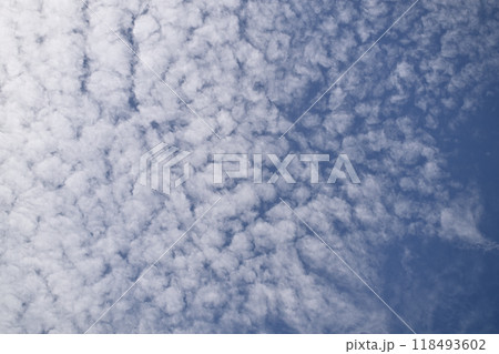 秋の羊雲（ひつじぐも） 118493602