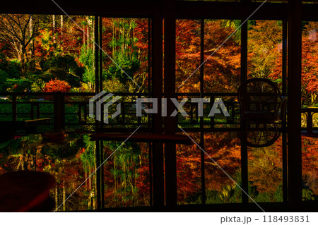 秋の季節に映える幻想的な紅葉リフレクション(漆塗りテーブル)  環境芸術の森(佐賀県唐津市) 秋の季節に映える幻想的な紅葉リフレクション(漆塗りテーブル)  環境芸術の森(佐賀県唐津市) 118493831