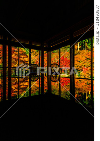 秋の季節に映える幻想的な紅葉リフレクション(漆塗りテーブル)　　環境芸術の森(佐賀県唐津市) 118493837