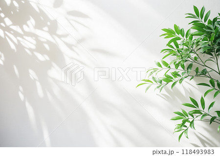 background with blurred foliage shadow on white wall 118493983
