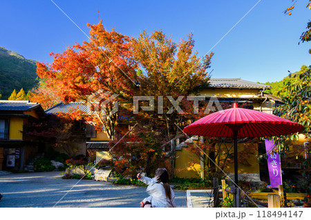 四季を通じて自然の絶景満喫 秋晴れ紅葉風景 環境芸術の森(佐賀県唐津市) 四季を通じて自然の絶景満喫 秋晴れ紅葉風景 環境芸術の森(佐賀県唐津市) 118494147