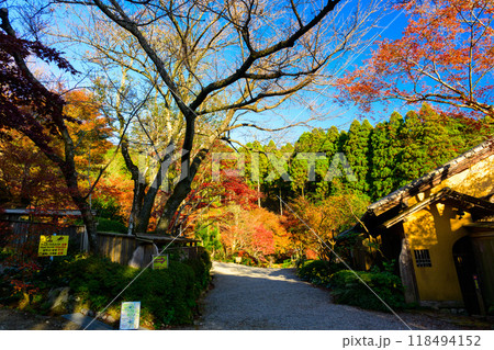 四季を通じて自然の絶景満喫 秋晴れ紅葉風景 環境芸術の森(佐賀県唐津市) 四季を通じて自然の絶景満喫 秋晴れ紅葉風景 環境芸術の森(佐賀県唐津市) 118494152