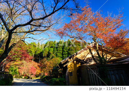 四季を通じて自然の絶景満喫　秋晴れ紅葉風景　環境芸術の森(佐賀県唐津市) 118494154