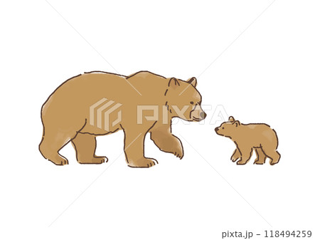 ヒグマの親子 118494259