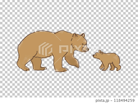 ヒグマの親子 118494259