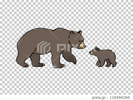 くまの親子のイラスト素材 [118494260] - PIXTA