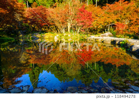 四季を通じて自然の絶景満喫 秋晴れ陽射し 紅葉リフレクション風景 環境芸術の森(佐賀県唐津市) 四季を通じて自然の絶景満喫 秋晴れ陽射し 紅葉リフレクション風景 環境芸術の森(佐賀県唐津市) 118494278