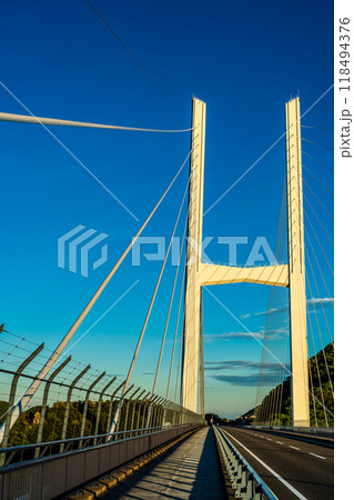 女神大橋の日の出　【長崎市】 118494376