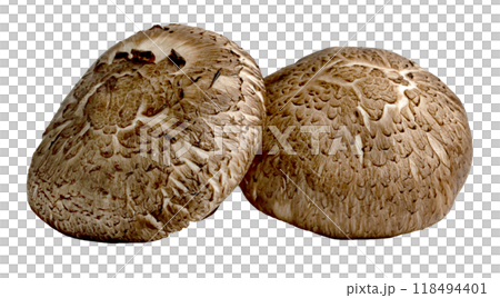 Shiitake Mushrooms isolated Shiitake Mushrooms isolated 118494401
