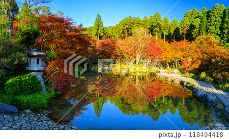 四季を通じて自然の絶景満喫　秋晴れ陽射し　紅葉リフレクション風景　環境芸術の森(佐賀県唐津市) 118494418