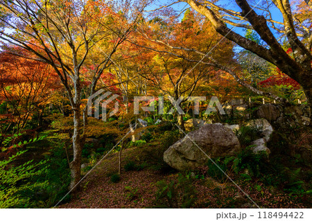 四季を通じて自然の絶景満喫 秋晴れ陽射しと影 環境芸術の森(佐賀県唐津市) 四季を通じて自然の絶景満喫 秋晴れ陽射しと影 環境芸術の森(佐賀県唐津市) 118494422
