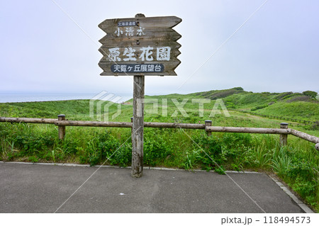 小清水原生花園 小清水原生花園 118494573