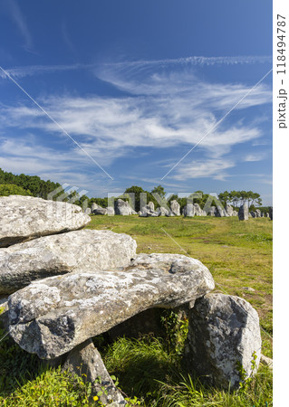 Standing stones (or menhirs) in Carnac, Morbihan, Brittany, France 118494787