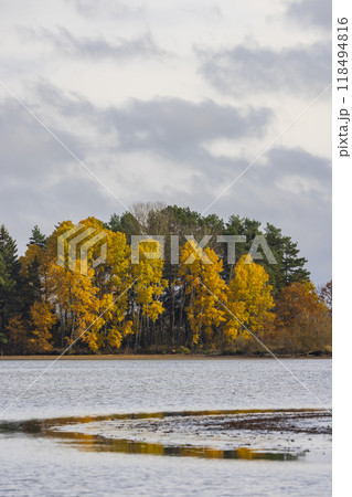 Typical autumn landscape in Trebonsko region, Velky Sustov pond near Suchdol nad Luznici, Southern Bohemia, Czech Republic 118494816