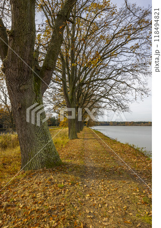 Typical autumn landscape in Trebonsko region, Velky Sustov pond near Suchdol nad Luznici, Southern Bohemia, Czech Republic Typical autumn landscape in Trebonsko region, Velky Sustov pond near Suchdol nad Luznici, Southern Bohemia, Czech Republic 118494821