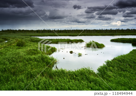 Lush green grass surrounding a lake in apolder landscape at the baltic sea as ominous storm clouds loom in the distance 118494944
